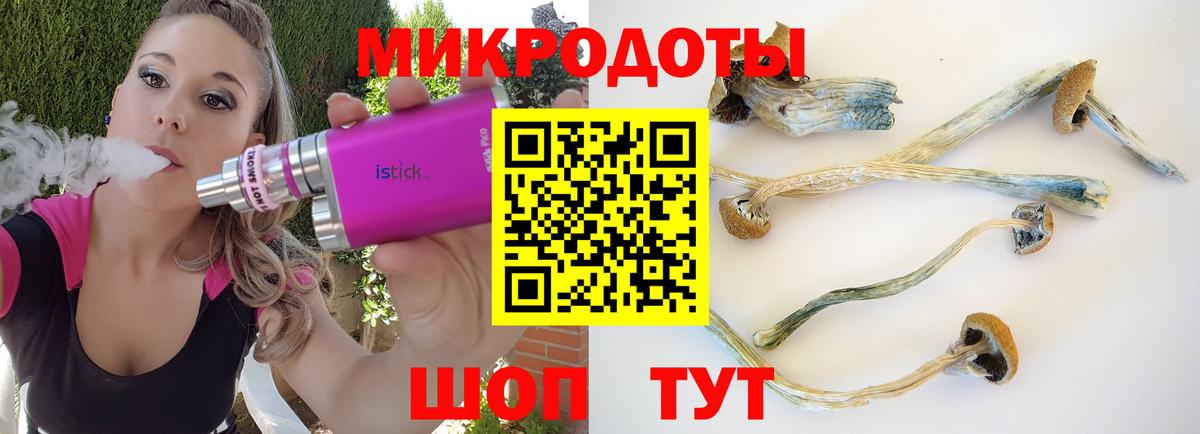 Шадринск  Галлюциногенные грибы Psilocybe  где можно купить   Вход с VPN 